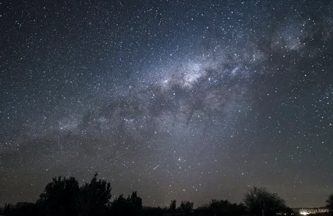 Atacama tours at night, the Milky Way arching over silhouetted trees with a shooting star below