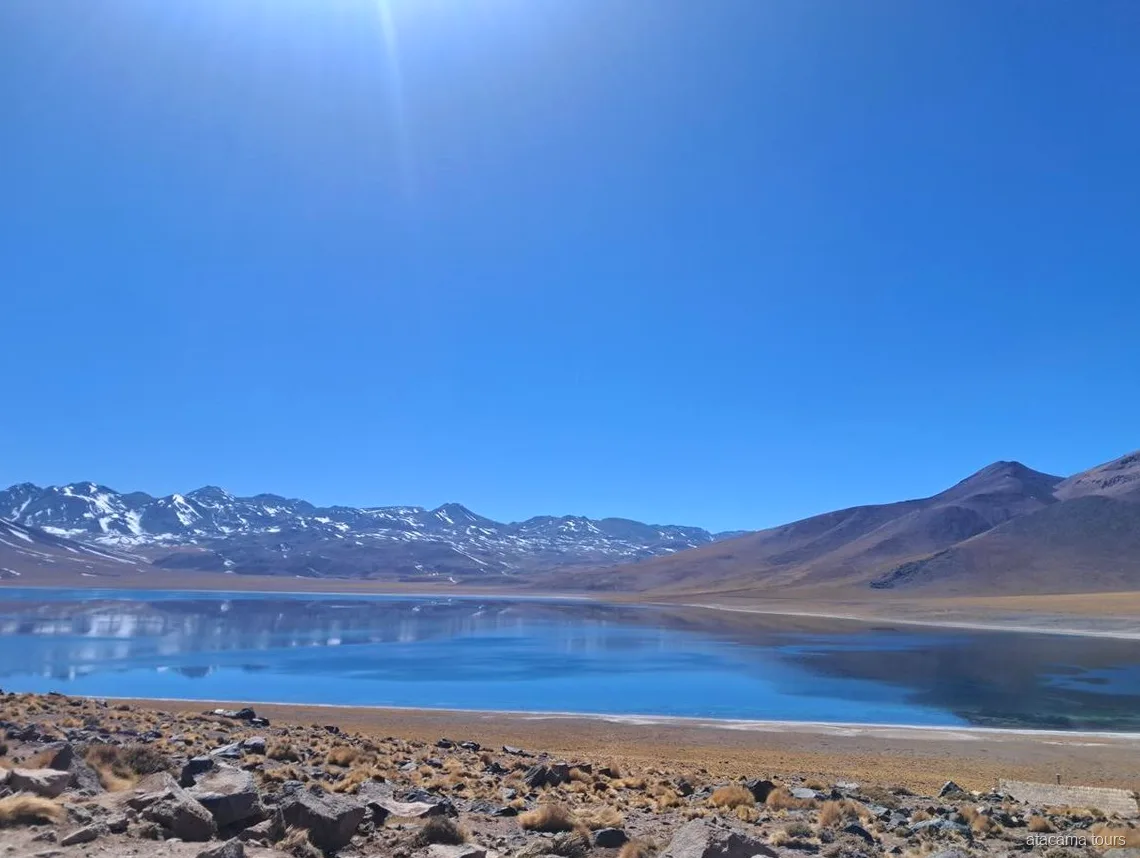 Excursions dans l'Atacama aux lagunes altiplaniques, lagune bleu profond reflétant des sommets enneigés