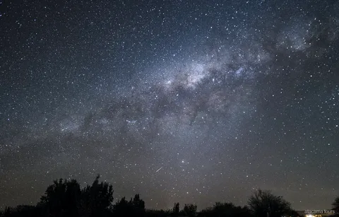 アタカマ星空ツアー、木々のシルエットの上に大きく広がる天の川と一筋の流れ星、サンペドロ・デ・アタカマ近郊の澄みきった砂漠の夜空