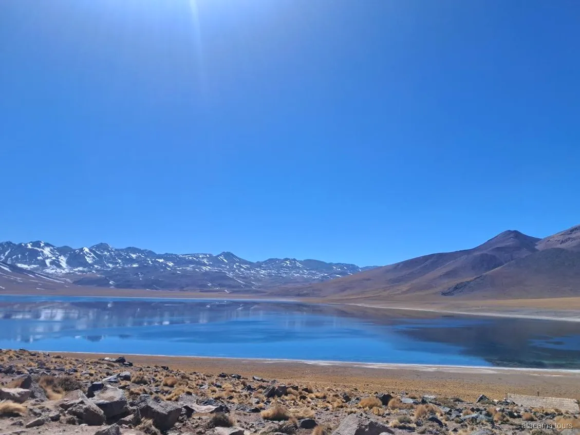 Atacama tours to the Altiplanic Lagoons, deep blue lagoon reflecting snow-capped Andes peaks