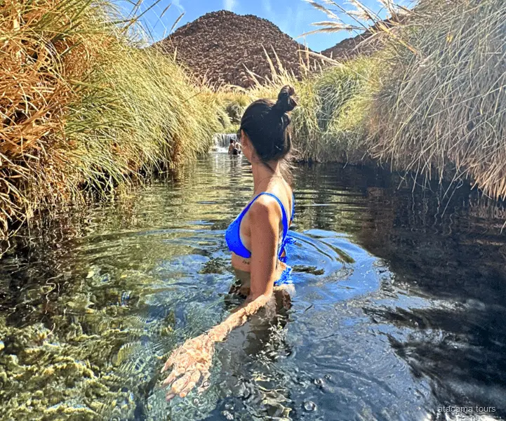 Puritama warmwaterbronnen transfer, thermale baden in een groene woestijncanyon