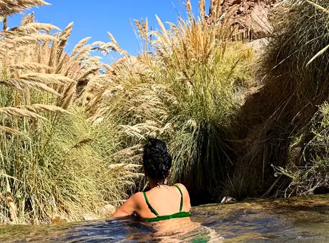 Atacama tours naar Puritama warmwaterbronnen, bezoeker ontspant in een warm bad tussen hoog pampagras