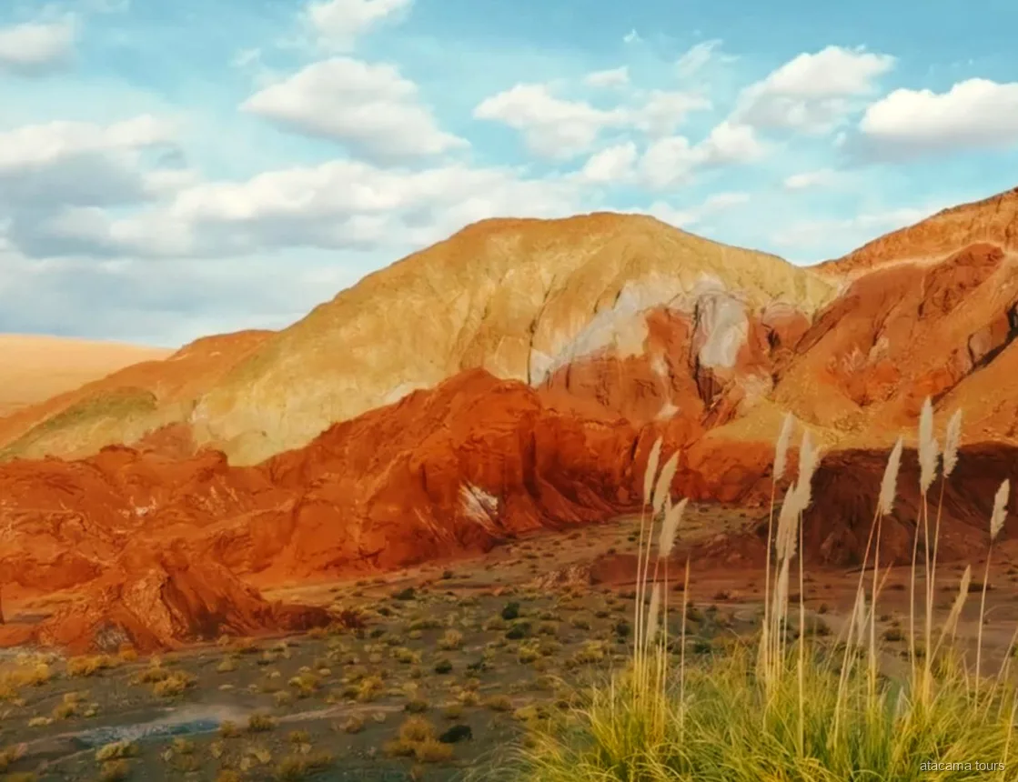 Atacama tours in Rainbow Valley, orange, ochre and white hills behind feathery pampas grass
