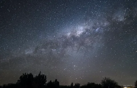 Passeios noturnos no Atacama, a Via Láctea sobre silhuetas de árvores com uma estrela cadente