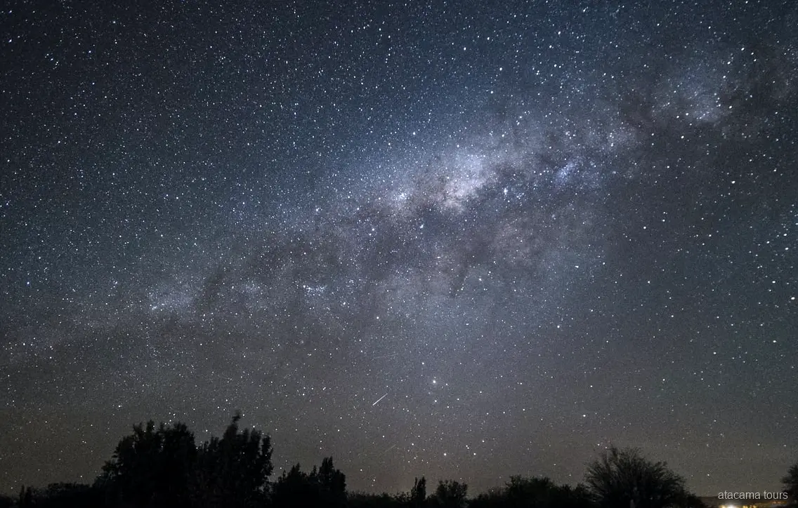 Excursions nocturnes dans l'Atacama, Voie lactée au-dessus d'arbres en silhouette et étoile filante
