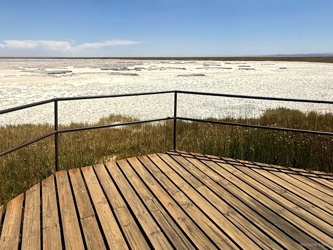 Tours en Atacama a Laguna Cejar, mirador de madera con baranda frente al salar blanco