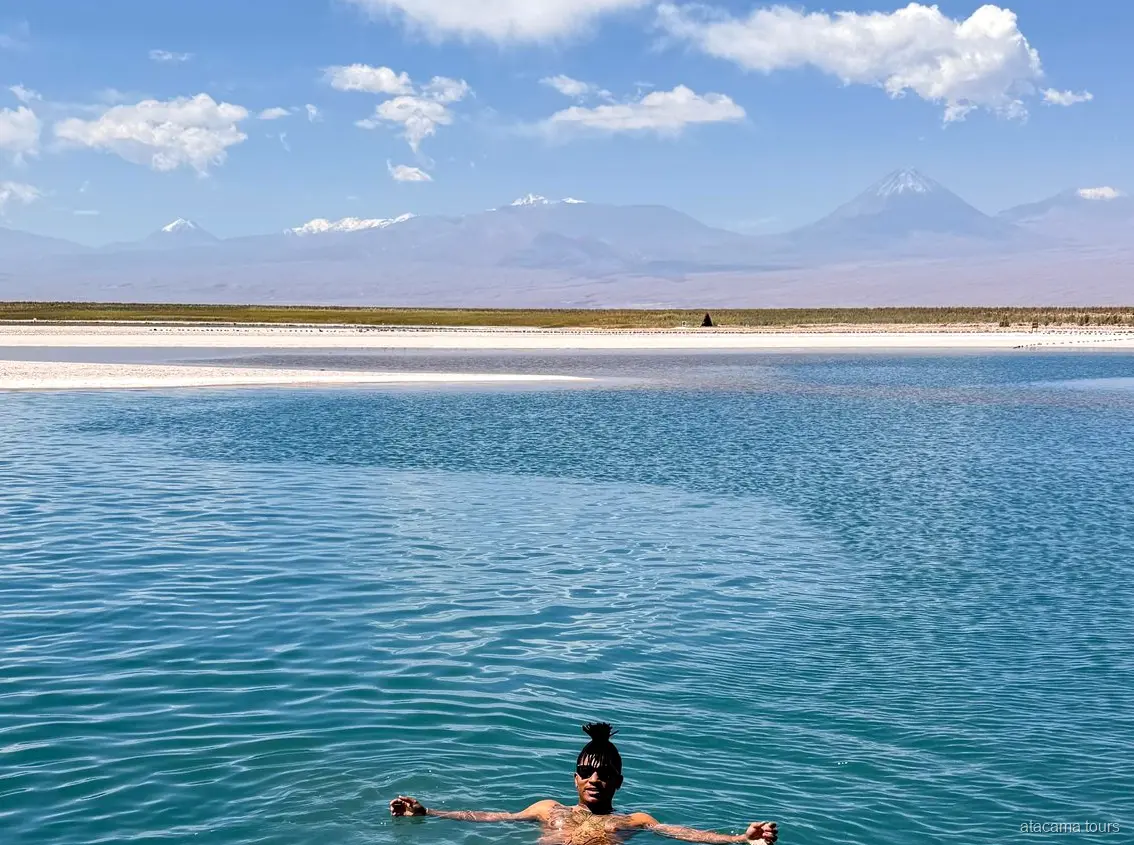 Tour ad Atacama a Laguna Cejar, bagnante che galleggia nell'acqua blu con vulcani innevati dietro