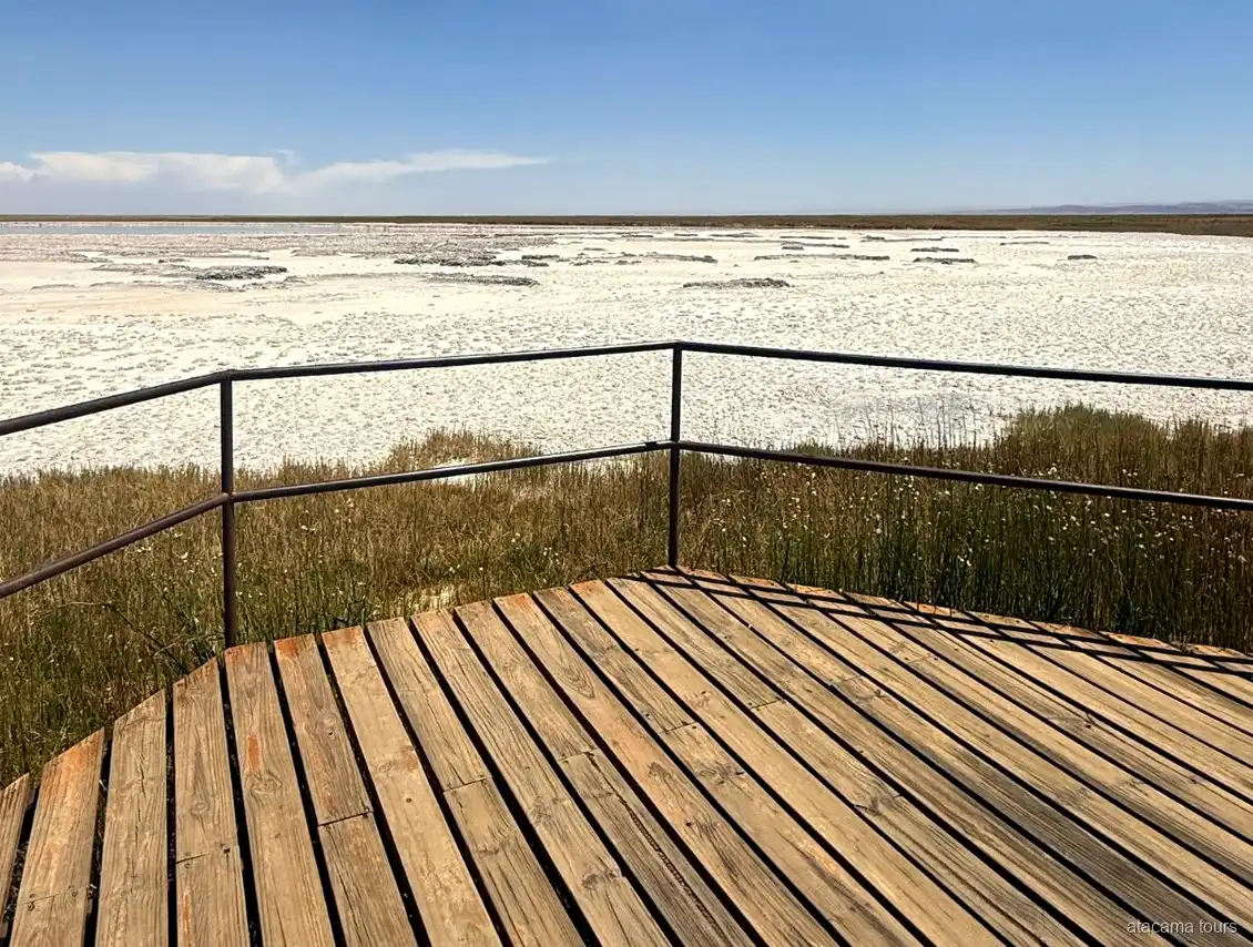 Tour ad Atacama a Laguna Cejar, belvedere in legno con ringhiera affacciato sulla distesa di sale
