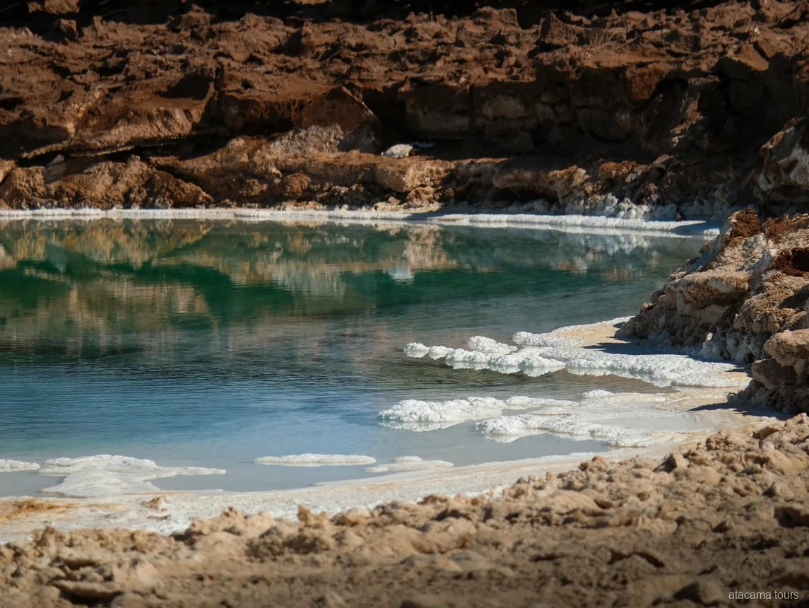 Tours en Atacama a Baltinache, laguna verde azulada bordeada de costra de sal blanca y rocas pardas