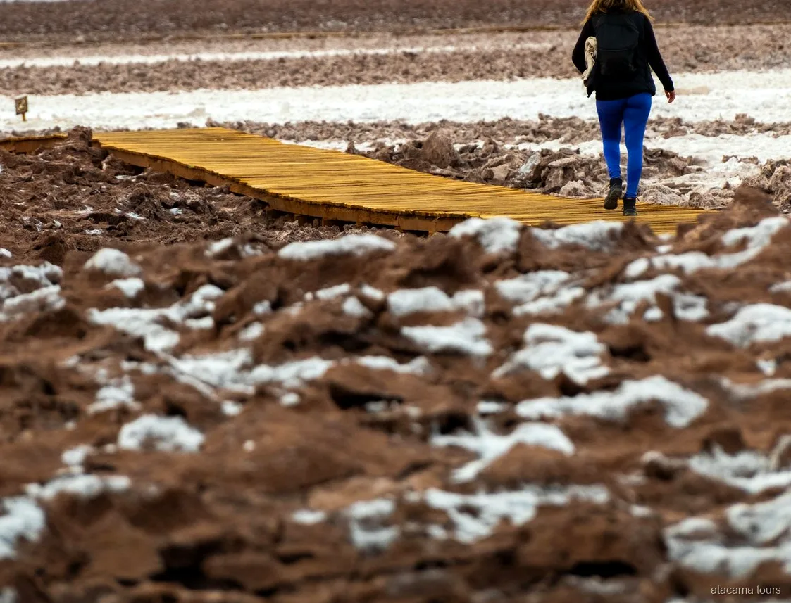 Tours en Atacama a Baltinache, caminante sobre una pasarela de madera que cruza la costra de sal