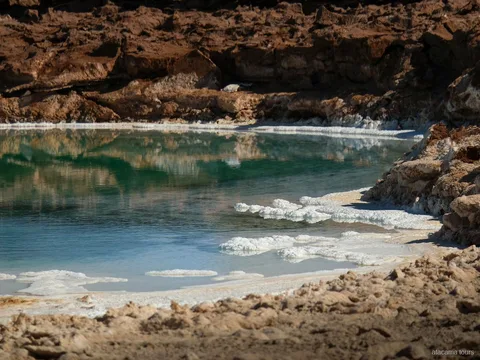 Passeios no Atacama a Baltinache, laguna verde azulada cercada por crosta de sal branca e rochas