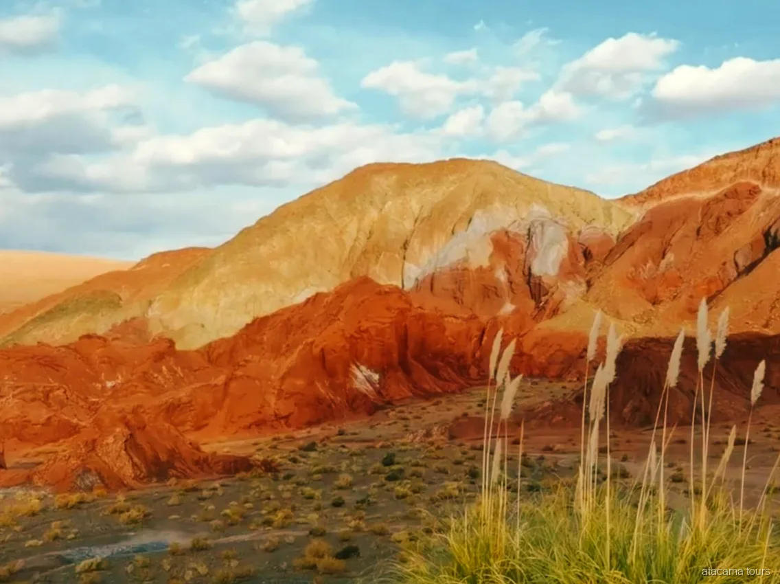 Tours en Atacama al Valle del Arcoíris, cerros naranjas, ocres y blancos tras penachos de cortadera