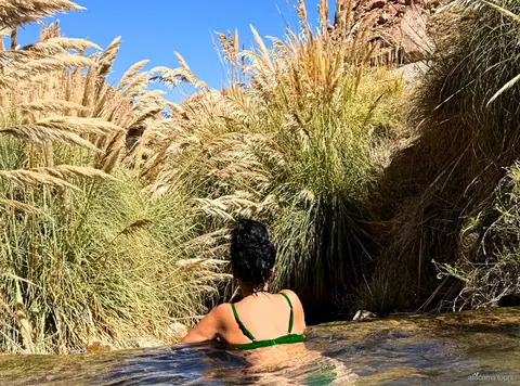 Excursions dans l'Atacama aux Thermes de Puritama, baigneur dans un bassin chaud bordé de hautes herbes