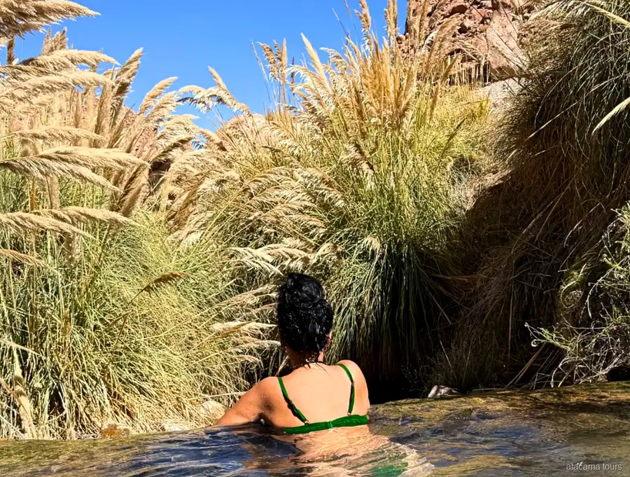Tour nel deserto di Atacama alle terme di Puritama, bagnante in una pozza calda tra alte erbe della pampa